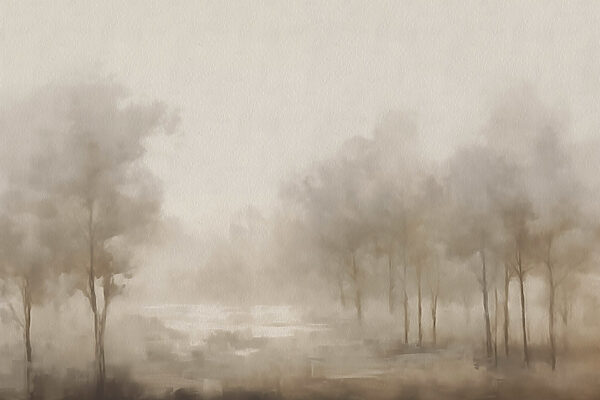 Mistig landschap met bomen Mistig landschap met bomen