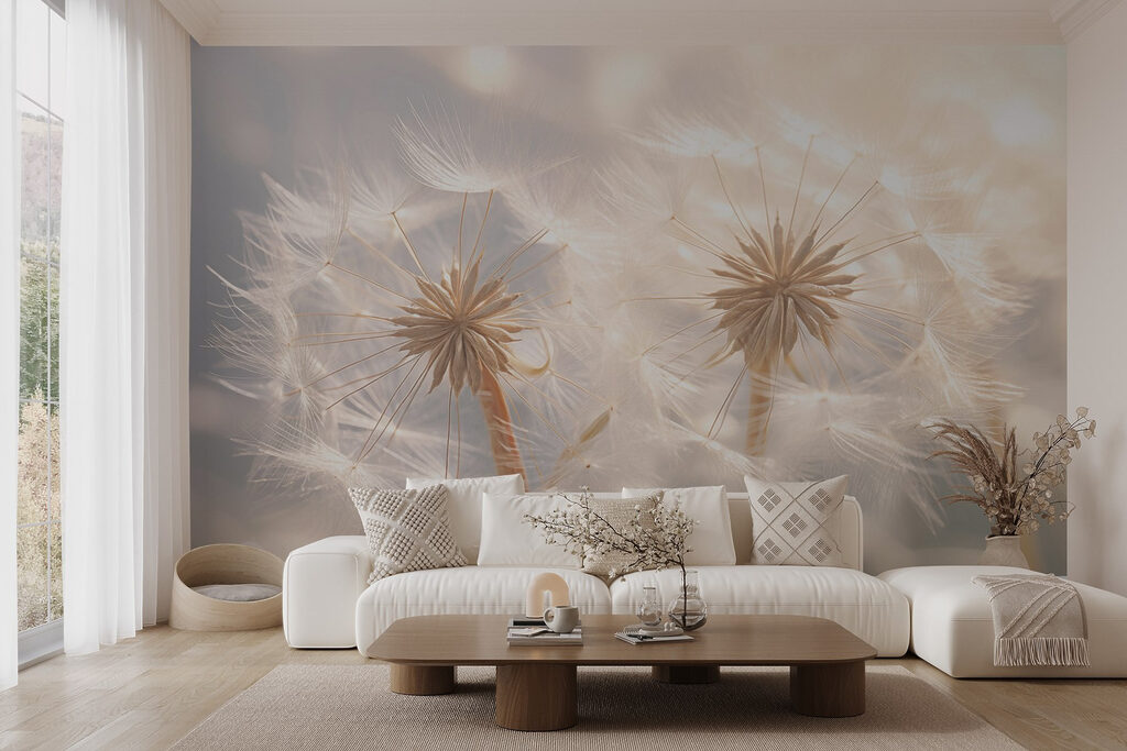 Delicate dandelion seeds in soft light