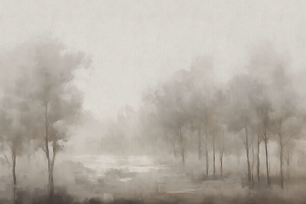 Mistig landschap met bomen Mistig landschap met bomen