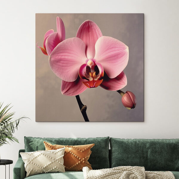 Delicate roze orchidee in volle bloei Delicate roze orchidee in volle bloei