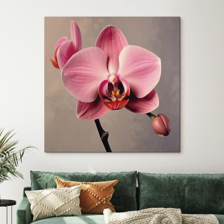 Delicate roze orchidee in volle bloei