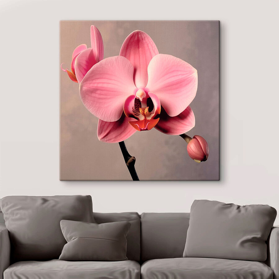 Delicate roze orchidee in volle bloei
