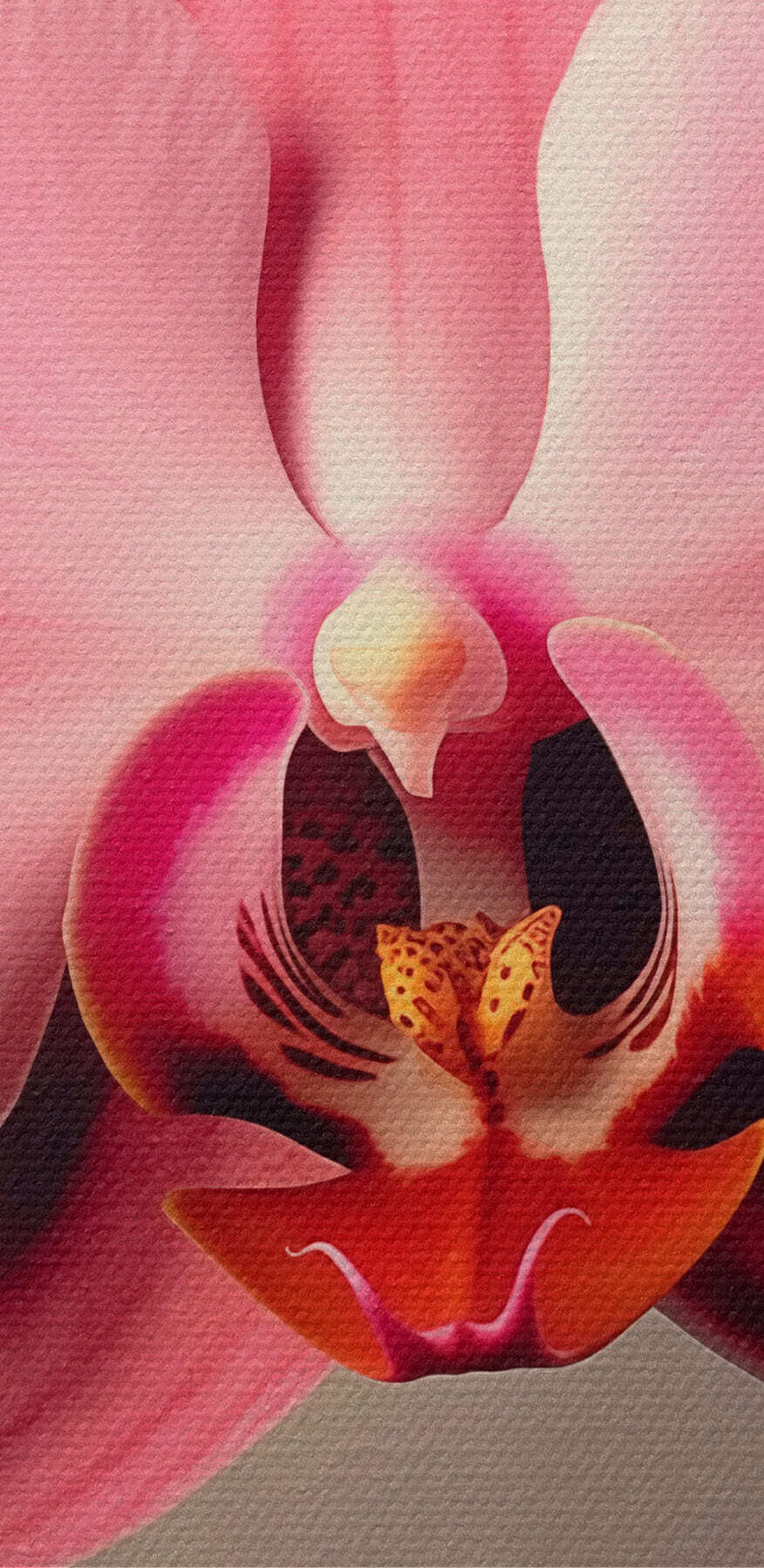 Delicate roze orchidee in volle bloei