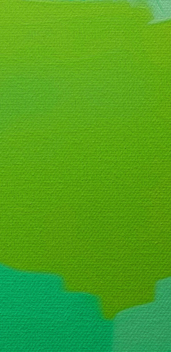Groene papegaai met gele ogen Groene papegaai met gele ogen
