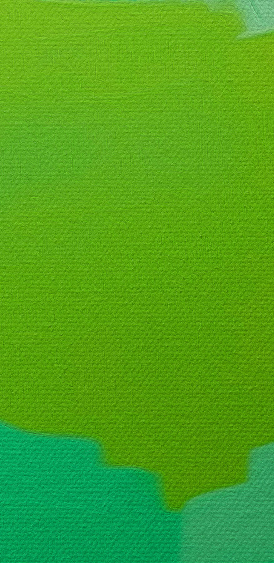 Groene papegaai met gele ogen