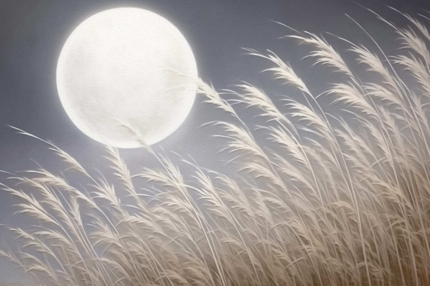 Moon in the sky