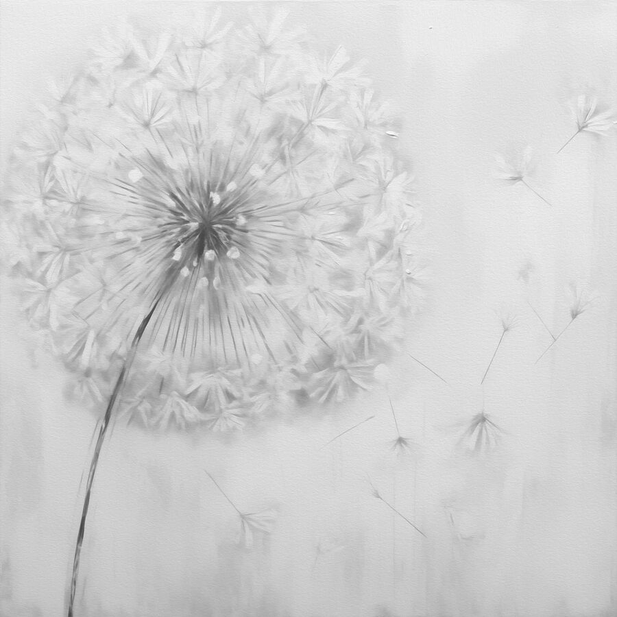 Paardenbloem met in de lucht vliegende zaadjes
