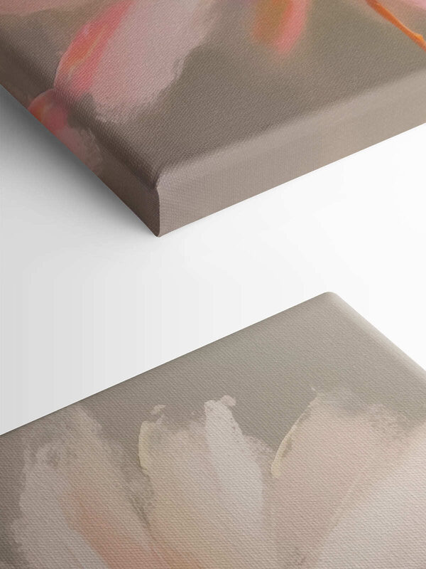 Delicate petals in soft hues