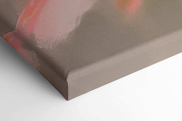 Delicate petals in soft hues