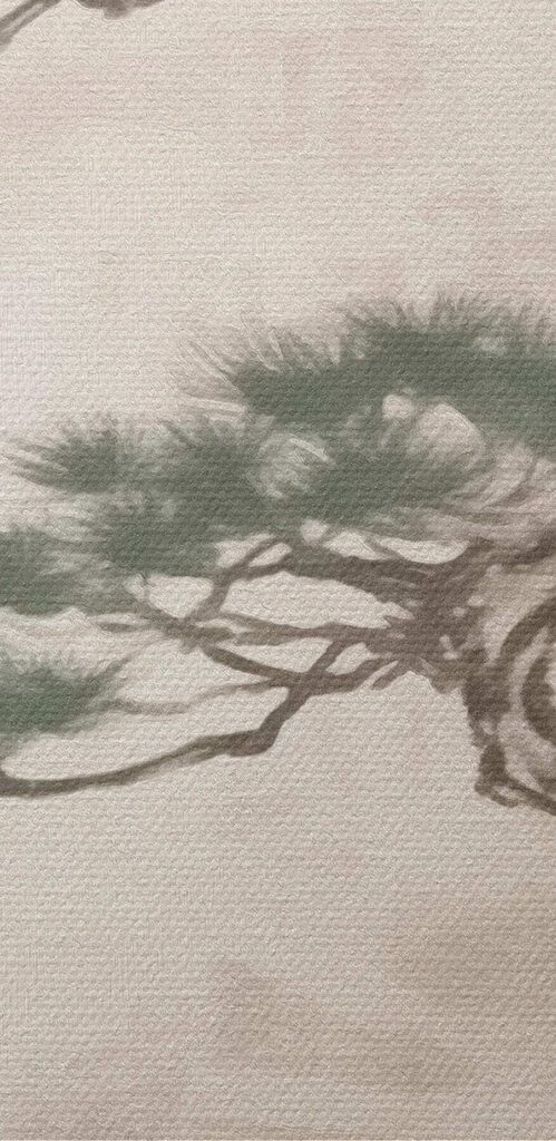 Tree on a rock Tree on a rock