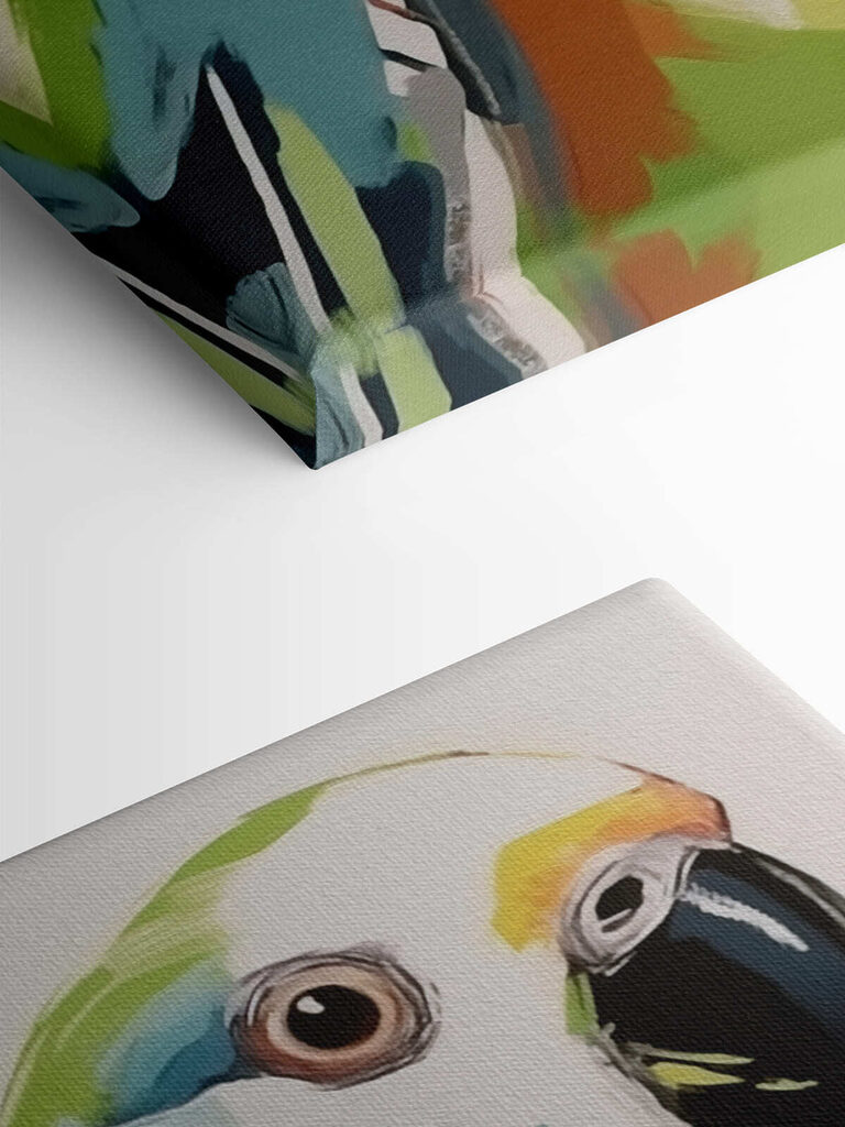 Colorful bird with black beak Colorful bird with black beak