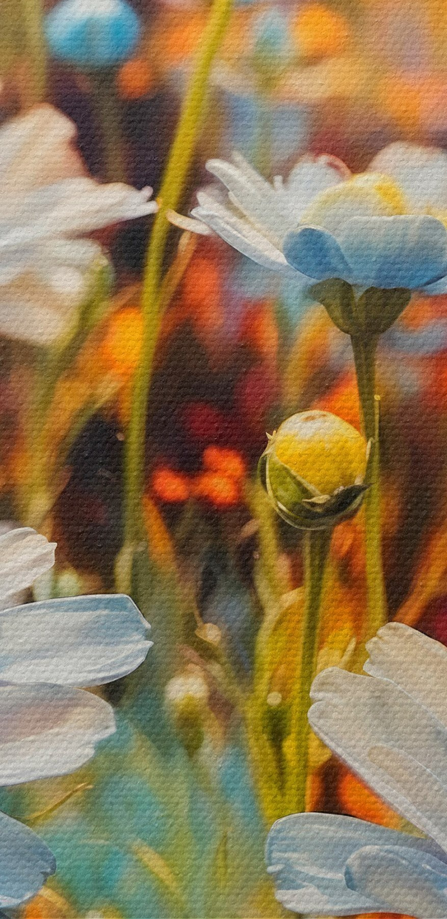Levendige bloemen in een kleurrijk veld