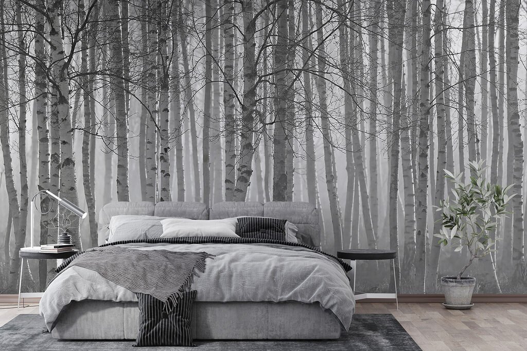 Group of trees in a forest Group of trees in a forest