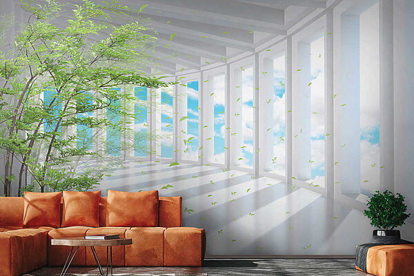 Tree in a room with windows Tree in a room with windows