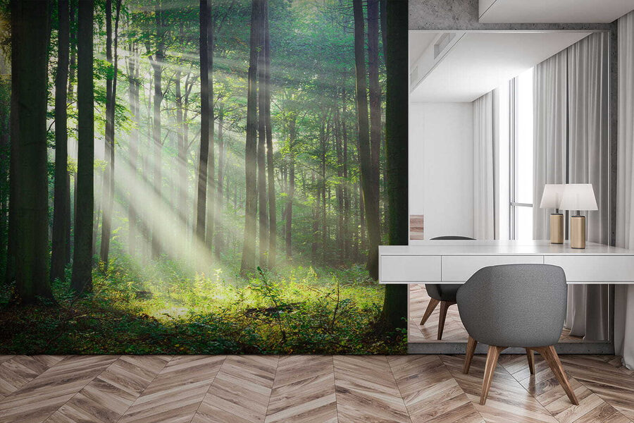 Zonlicht schijnt door bomen