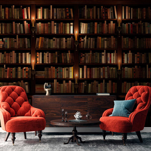 Grote boekenkast vol boeken Grote boekenkast vol boeken