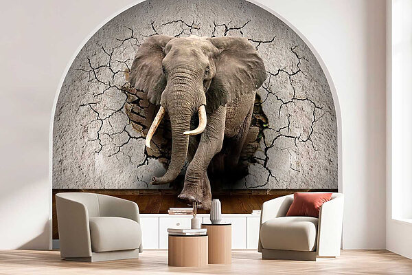 Een olifant die door een muur komt Een olifant die door een muur komt
