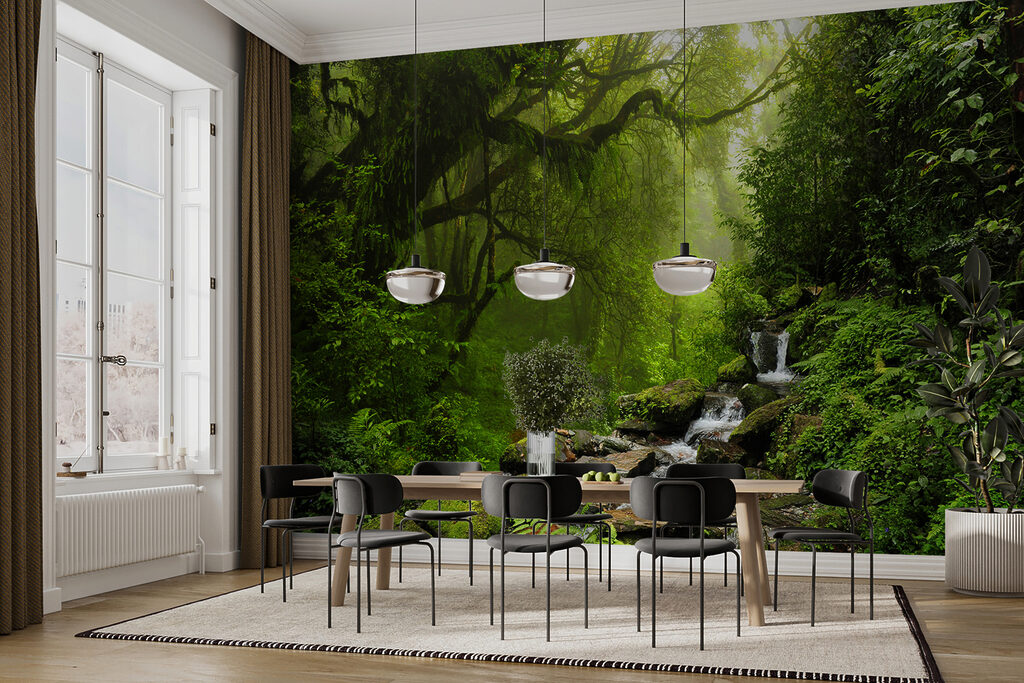 Stream running through a forest