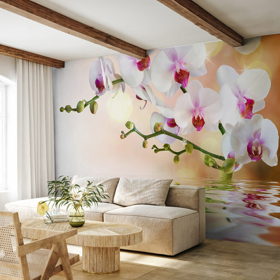 Witte orchideeën op een tak met waterribbels
