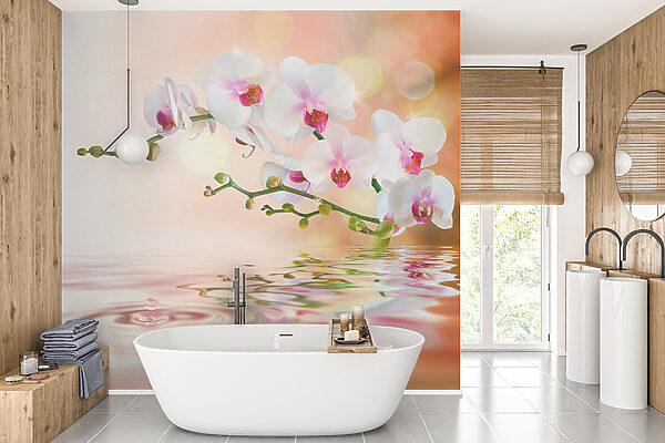 Witte orchideeën op een tak met waterribbels Witte orchideeën op een tak met waterribbels