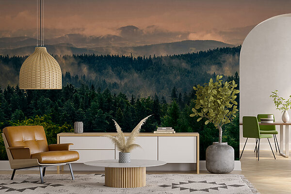 Forest with fog and clouds Forest with fog and clouds