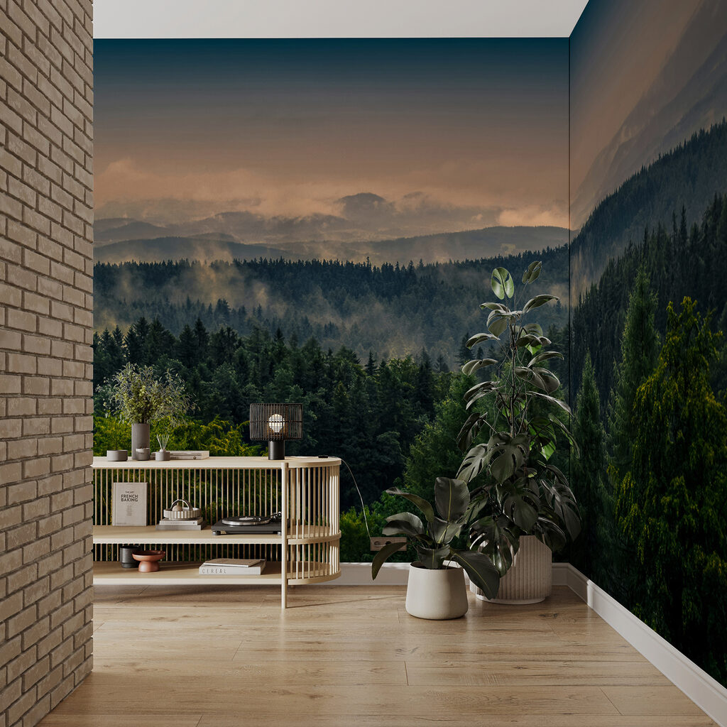 Forest with fog and clouds Forest with fog and clouds