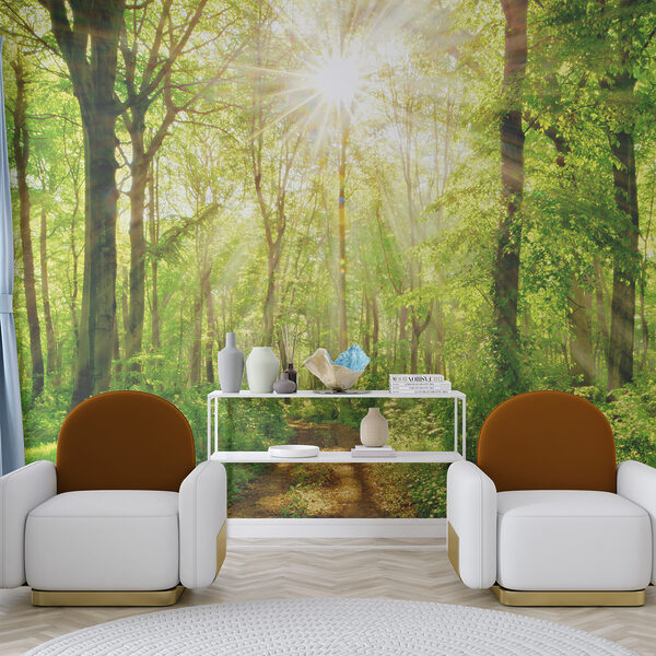 Path through a forest with trees and plants Path through a forest with trees and plants