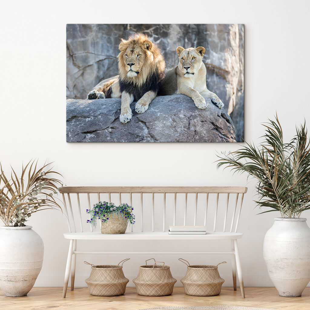 A couple of lions lying on a rock