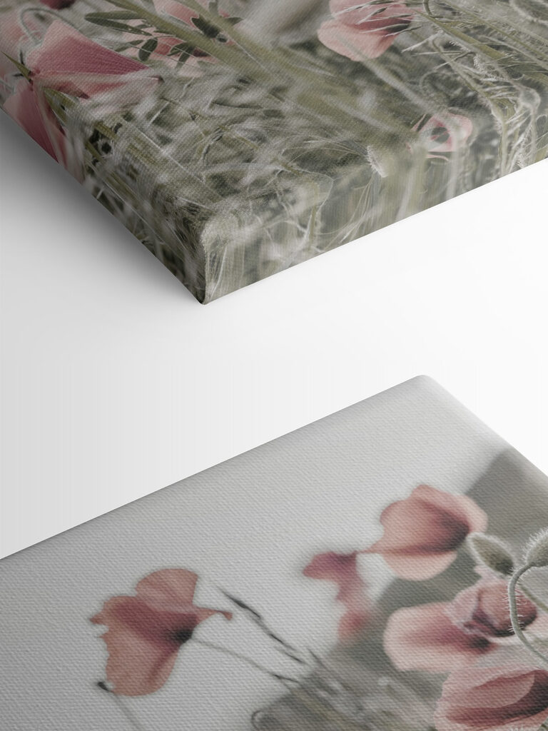 A field of pink flowers