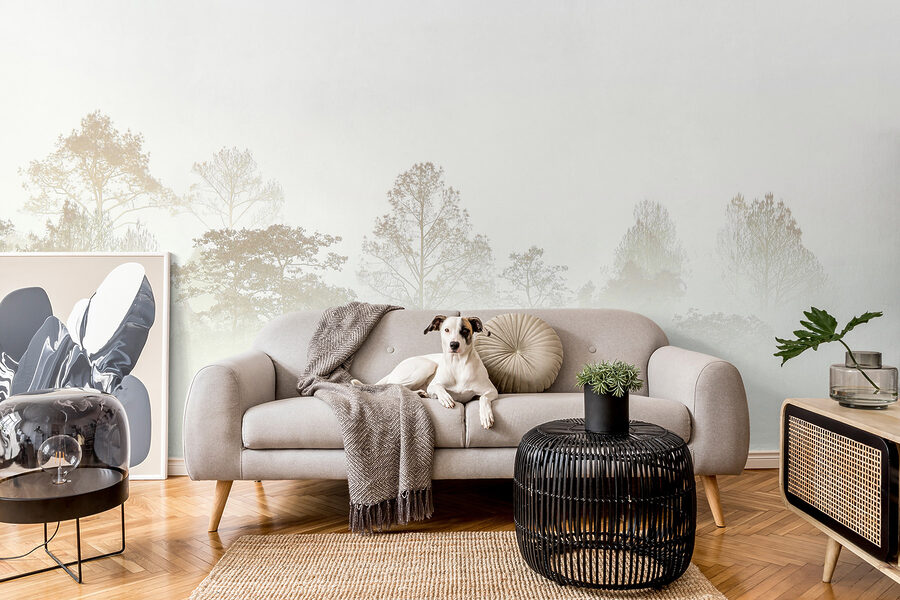 Bomen in de mist