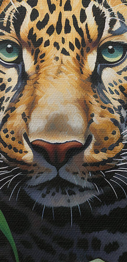 Leopard in the jungle Leopard in the jungle