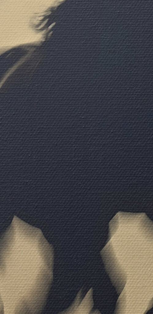 Horse running in the snow