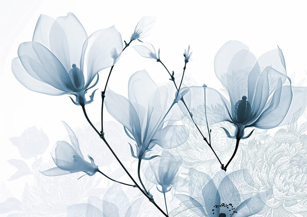 Delicate bloemen in zachte tinten Delicate bloemen in zachte tinten