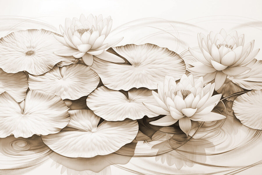 Tekening van lelieblad en waterlelies Tekening van lelieblad en waterlelies