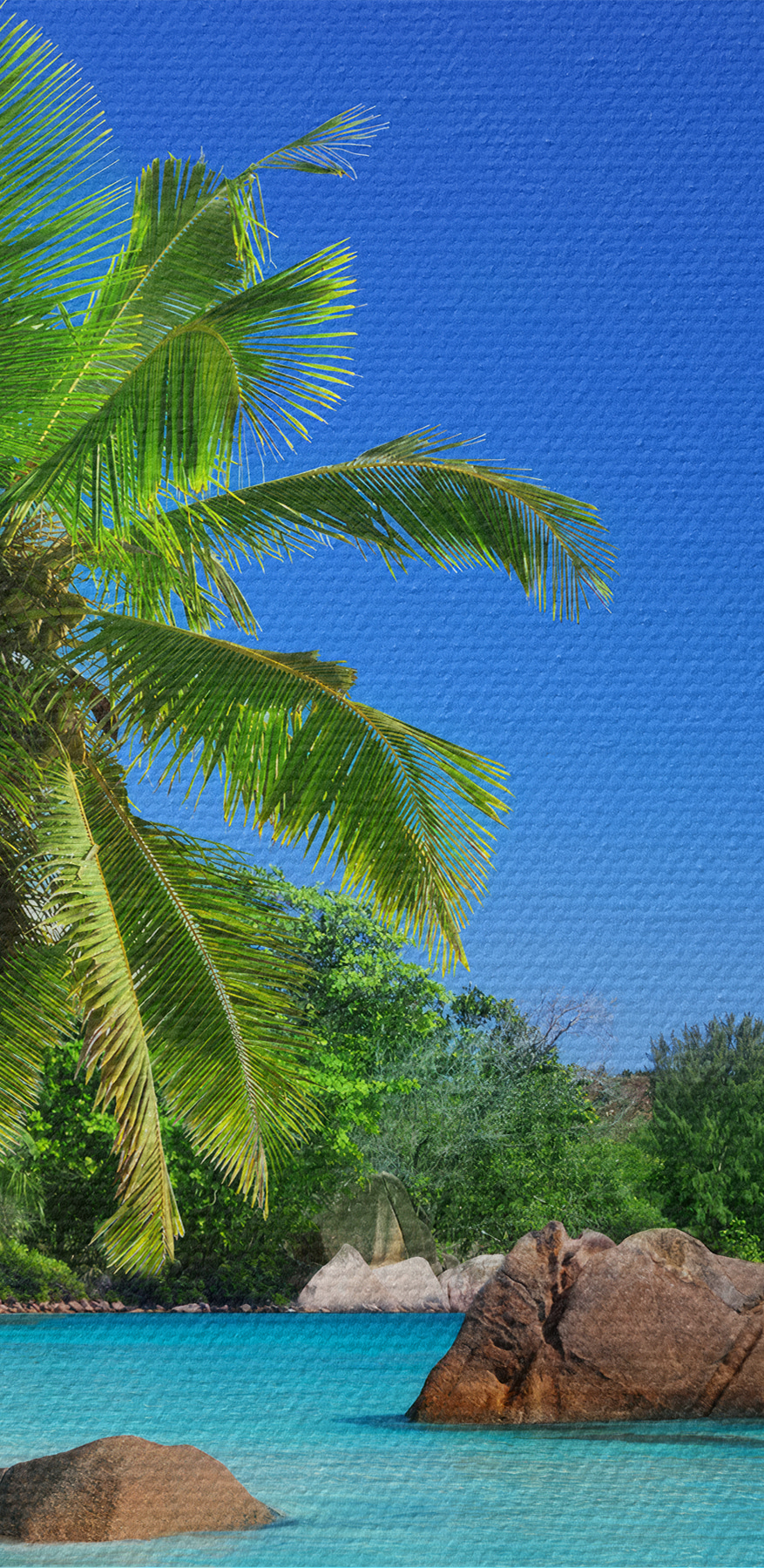 Een strand met palmbomen en blauw water