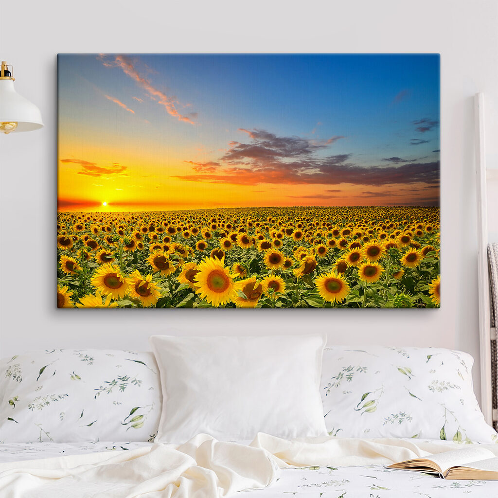 Een veld zonnebloemen bij zonsondergang s05429pib156m 1024x1024 - Een veld zonnebloemen bij zonsondergang