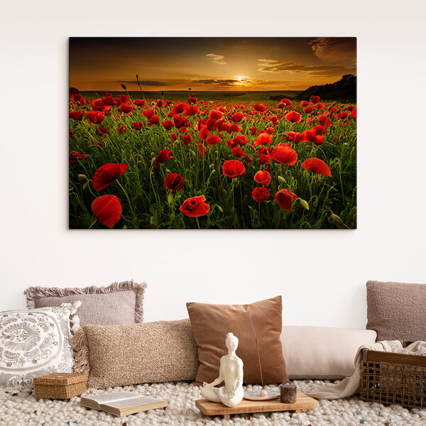 Een veld vol rode bloemen Een veld vol rode bloemen