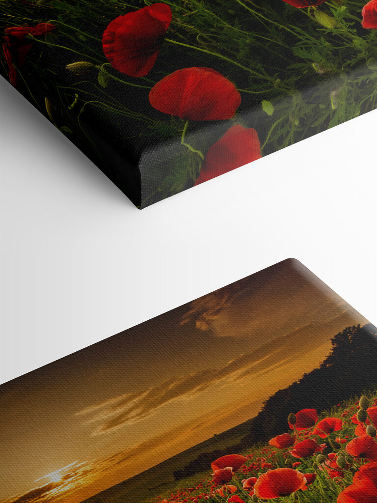 A field of red flowers