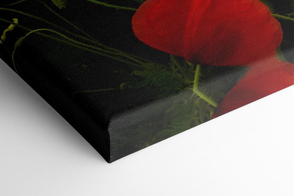 A field of red flowers