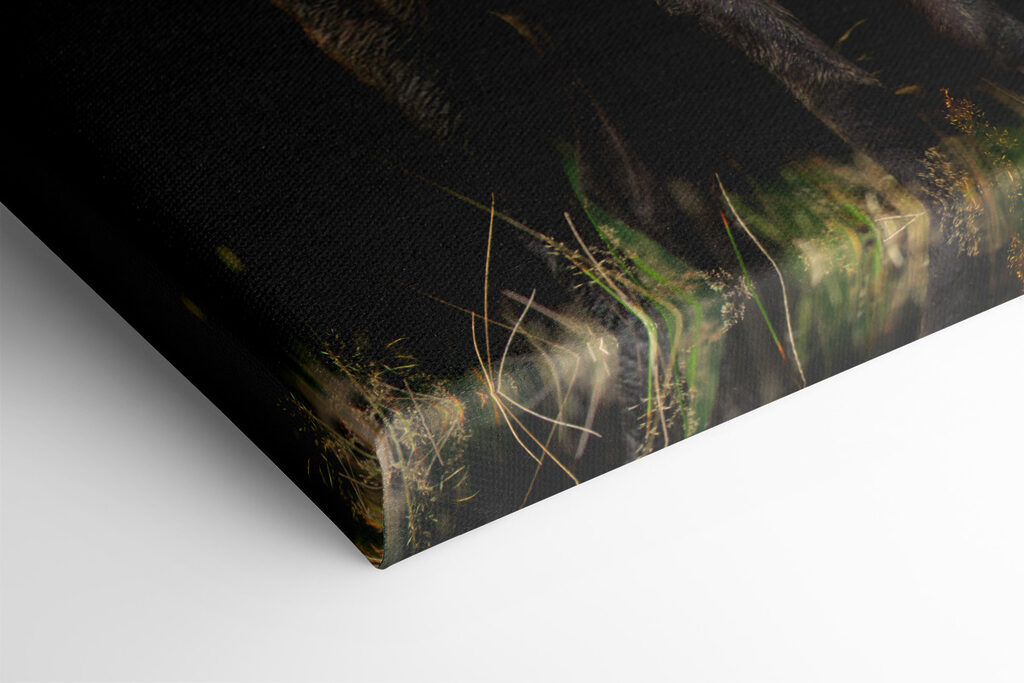 A deer with antlers standing in the dark