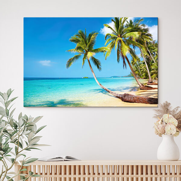Palm trees on a beach Palm trees on a beach