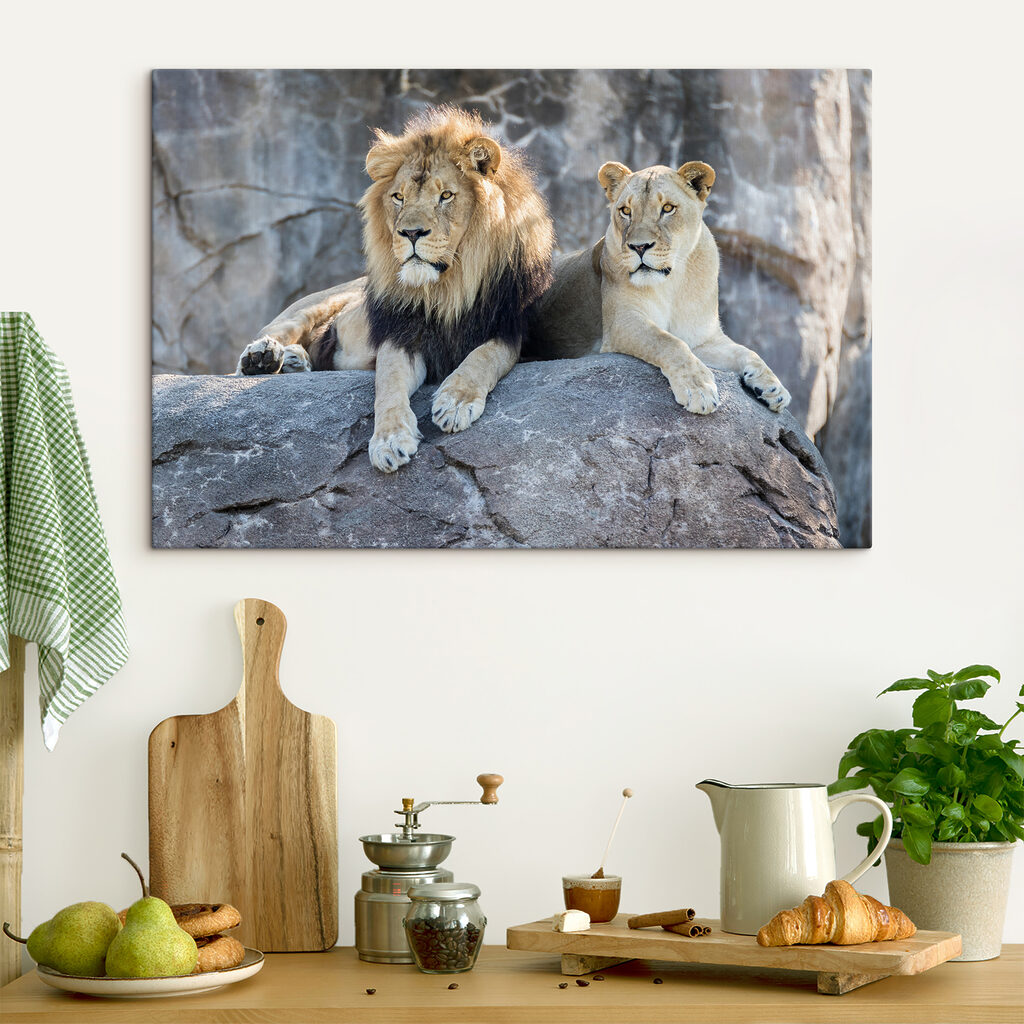 A couple of lions lying on a rock