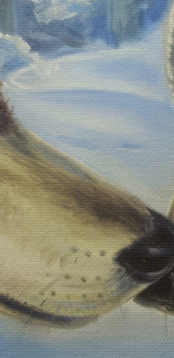 Een schilderij van twee kussende wolven Een schilderij van twee kussende wolven