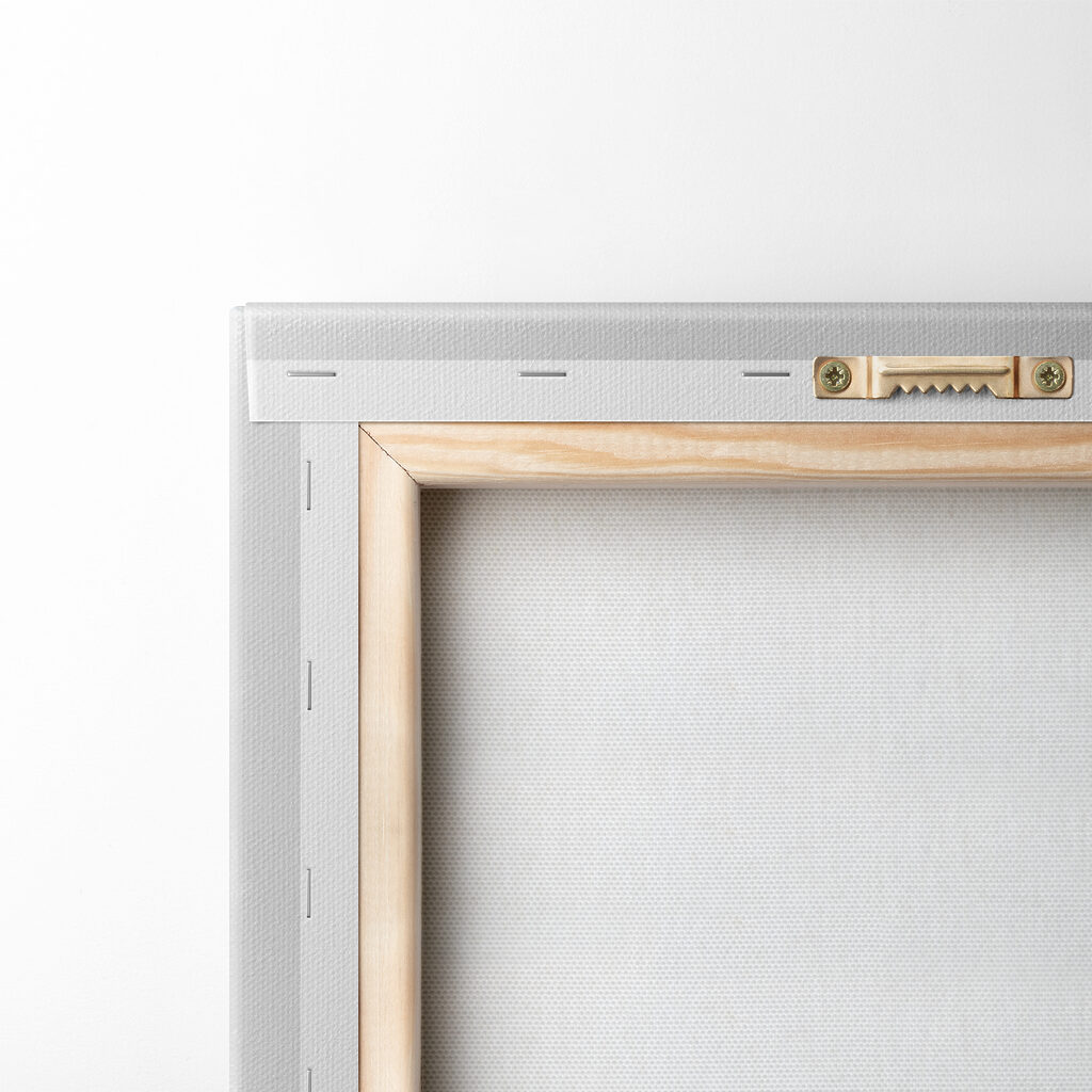 Close up of water droplets on seeds