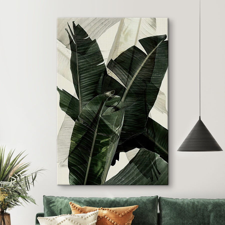 Een close-up van een plant