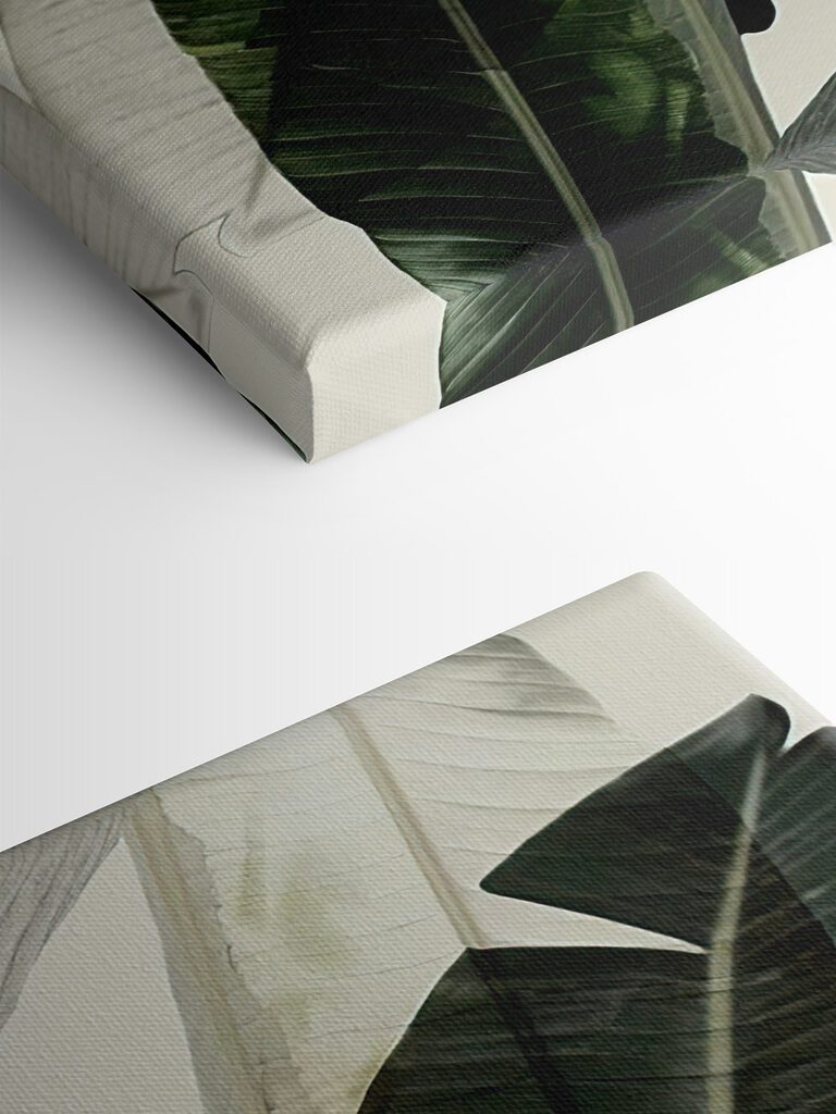 A close up of a plant