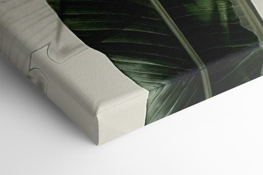 Een close-up van een plant