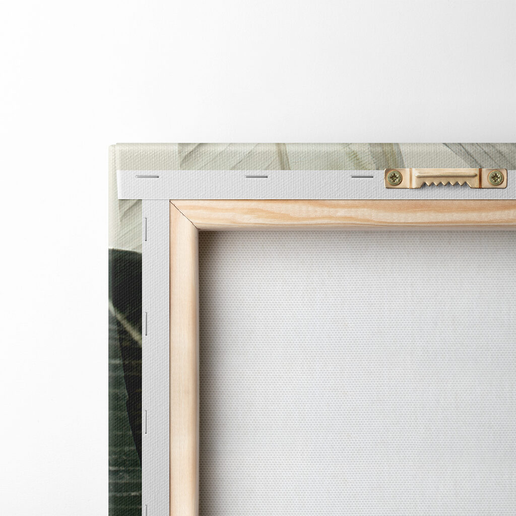 A close up of a plant