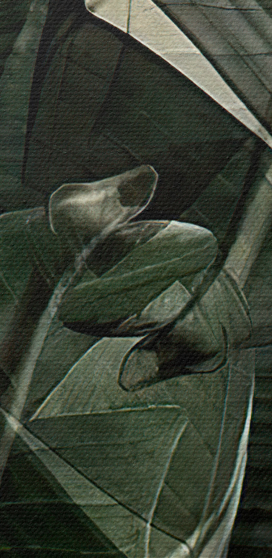 Een close-up van een plant