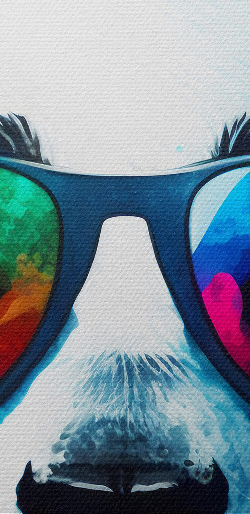 A panda wearing headphones and sunglasses